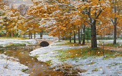 ТАКА РІЗНА ОСІНЬ